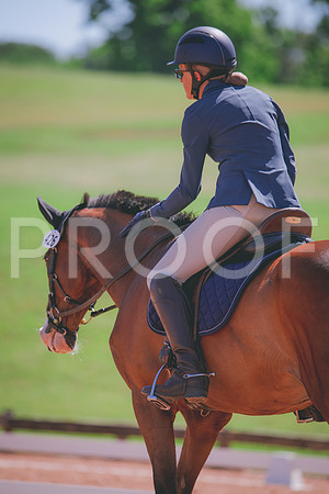 RWP_0065