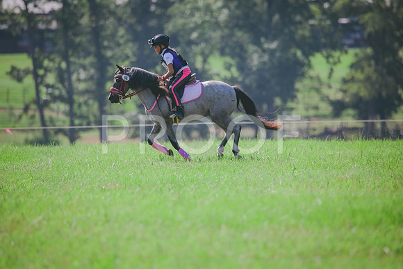 RWP_6419