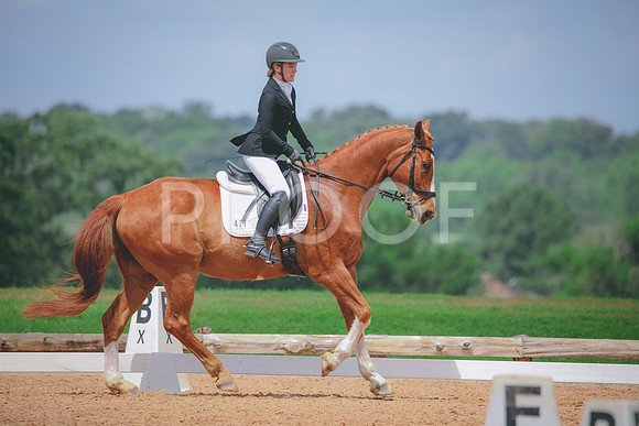 RWP_4486