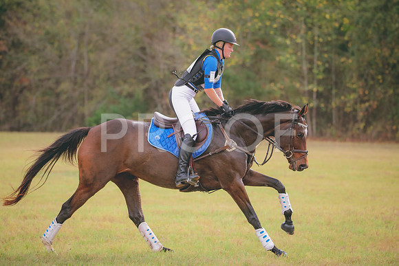 RWP_3088