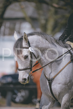 JJS_0796