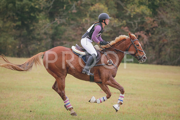 RWP_2742