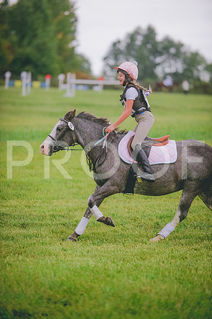 JJS_1527