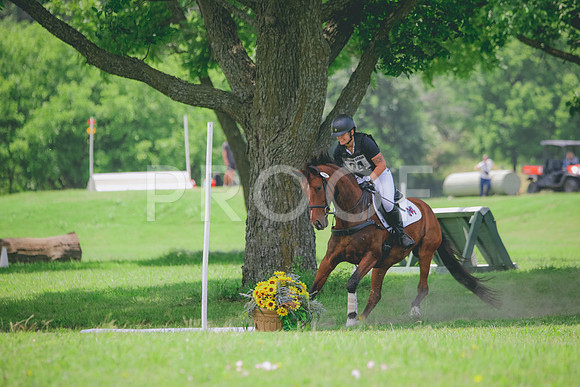 RWP_3090