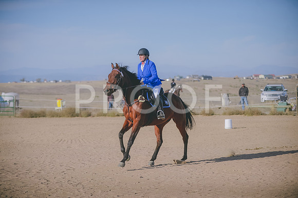 JJS_8711