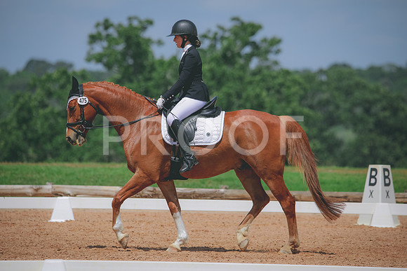 RWP_4419