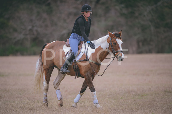 JJS_0079