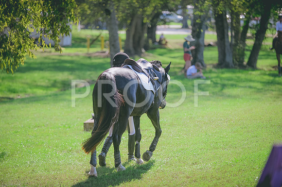 JJS_2363