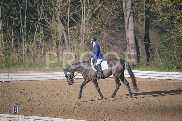 JJS_3868