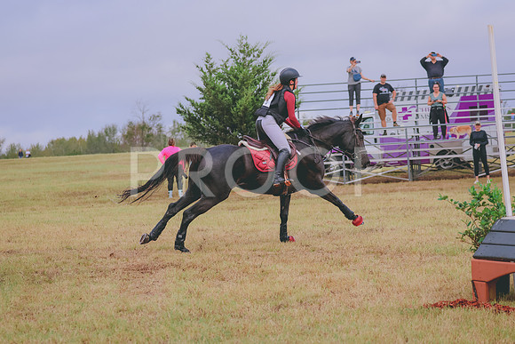861A3870