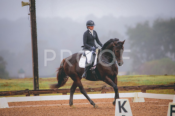 RWP_1176