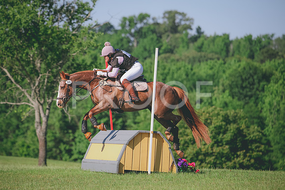 RWP_2906