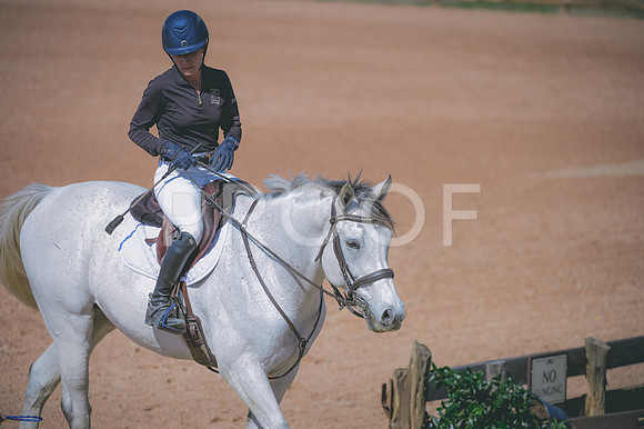 JJS_6057