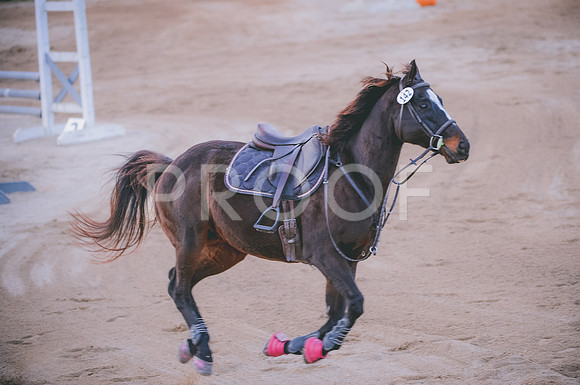 JJS_3819