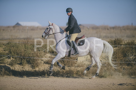 JJS_8450