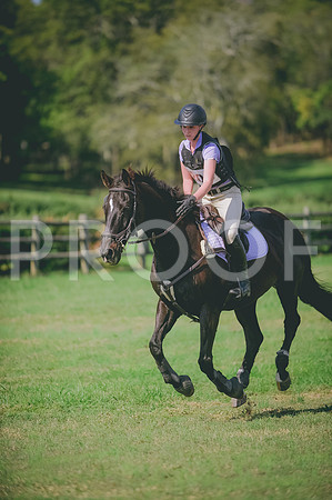 JJS_9191