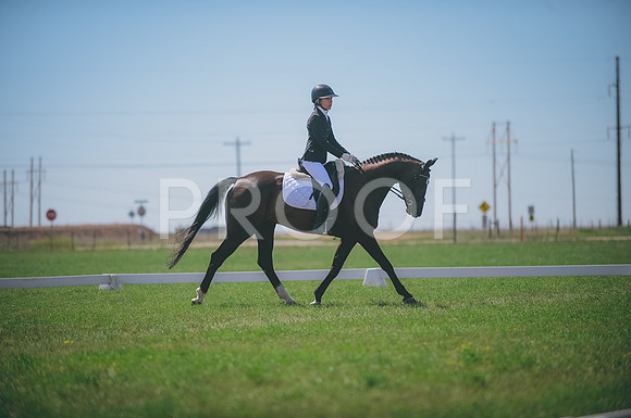 JJS_3546