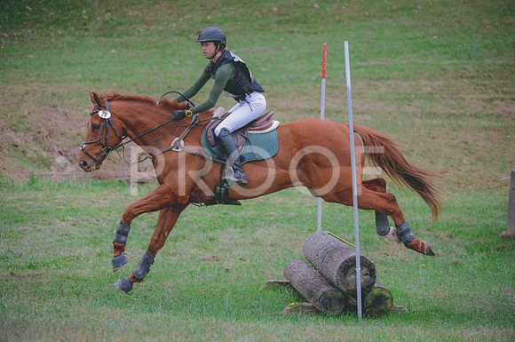 JJS_1434