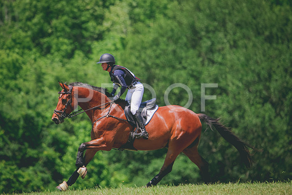 RWP_7543