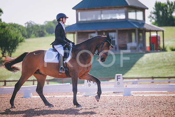 RWP_9279