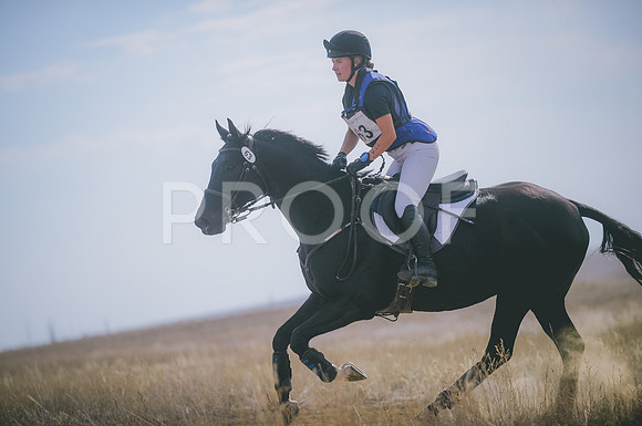 JJS_0487