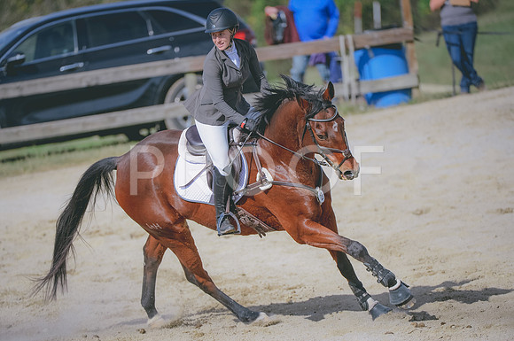 JJS_2494A