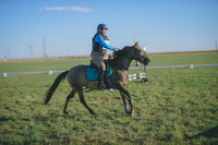 JJS_3556