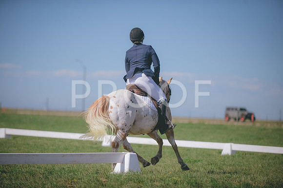 JJS_2639