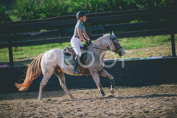JJS_8219