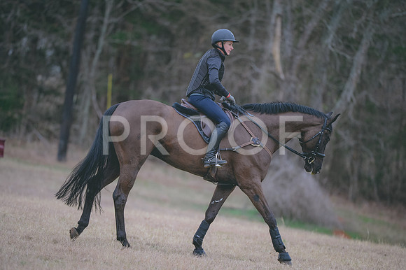 JJS_9196