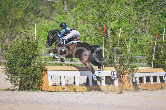 DSC_3054