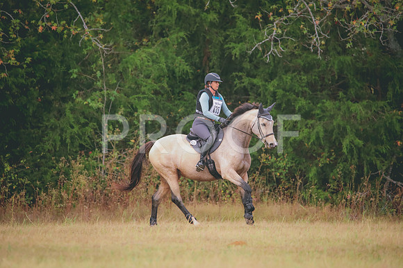 RWP_2953