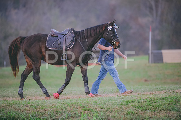 JJS_3873