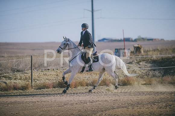 JJS_8437