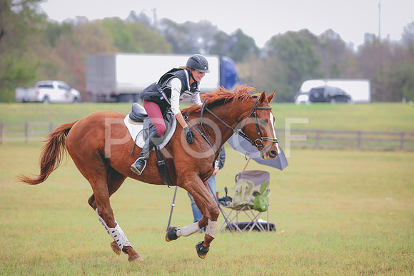 RWP_3449