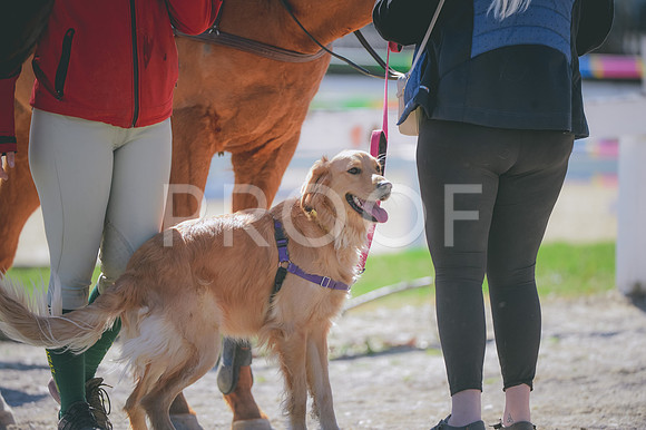 JJS_0208