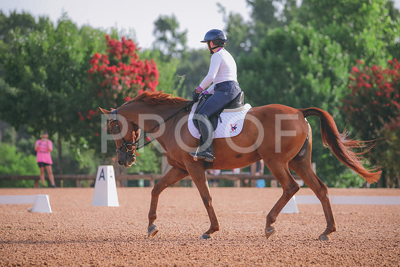 RWP_4301