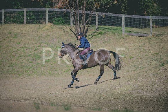 JJS_0199