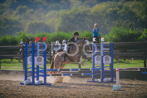 JJS_8019