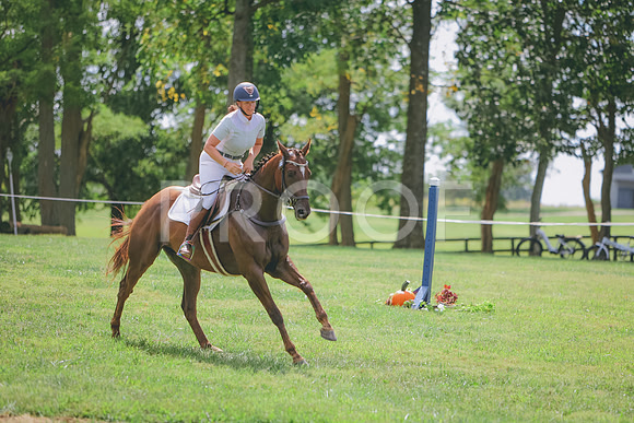 3T5A3799