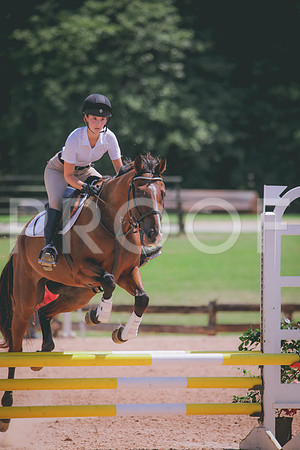 RWP_5348
