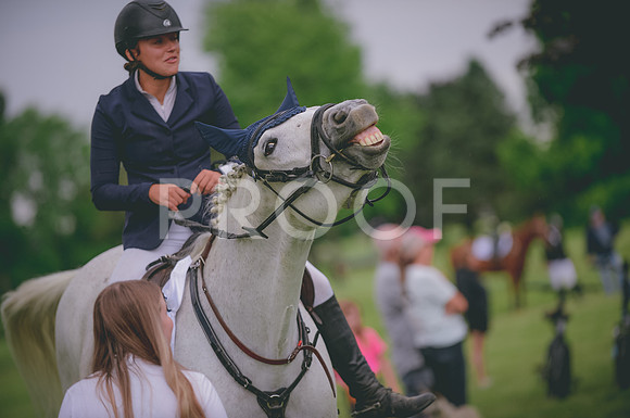 JJS_6941