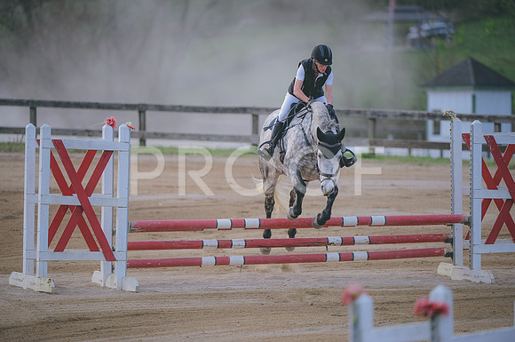 JJS_1537