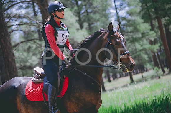 JJS_1814A