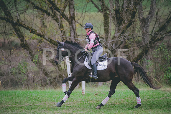 JJS_1494