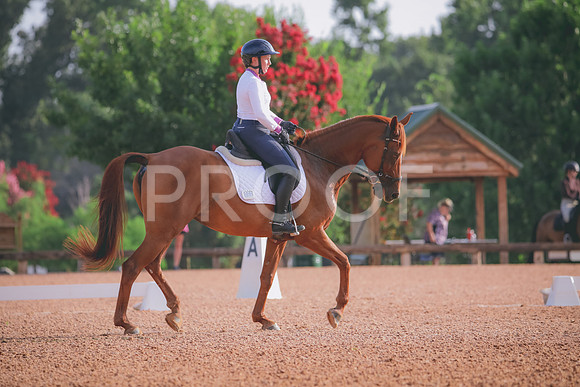 RWP_4310