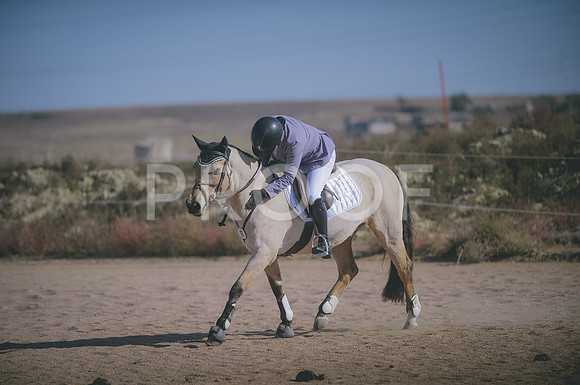 JJS_3564