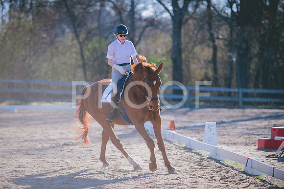 JJS_6331