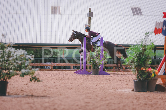 SH3_9924