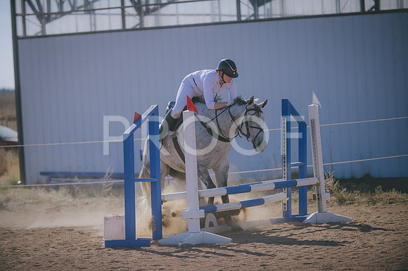 JJS_2645